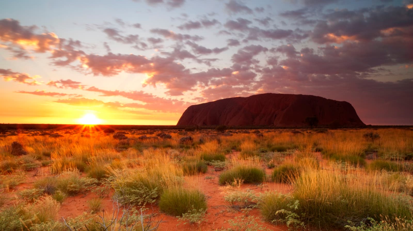 Transforming Land Data Management and Stakeholder Engagement for a Leading Energy Producer